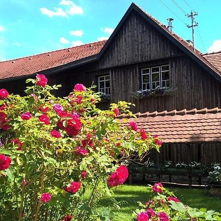 Albler-Nest Auf Hofgut Kuche Daire Burladingen Dış mekan fotoğraf