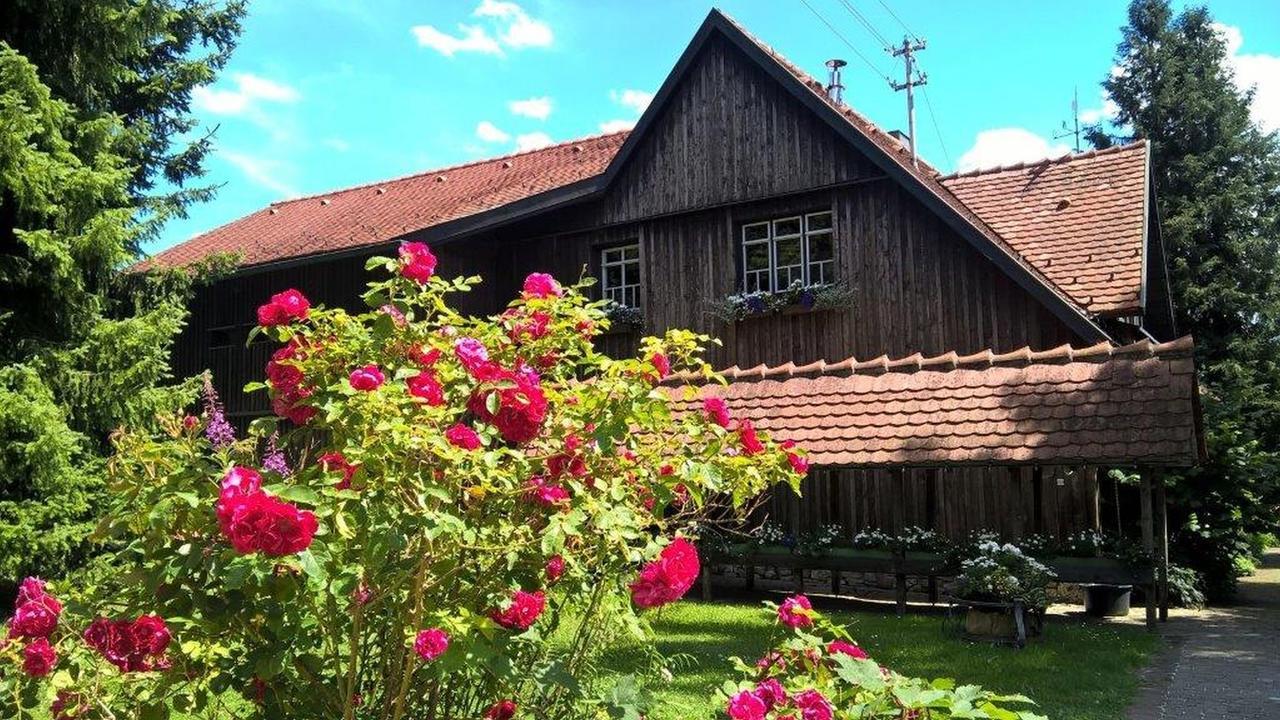 Albler-Nest Auf Hofgut Kuche Daire Burladingen Dış mekan fotoğraf