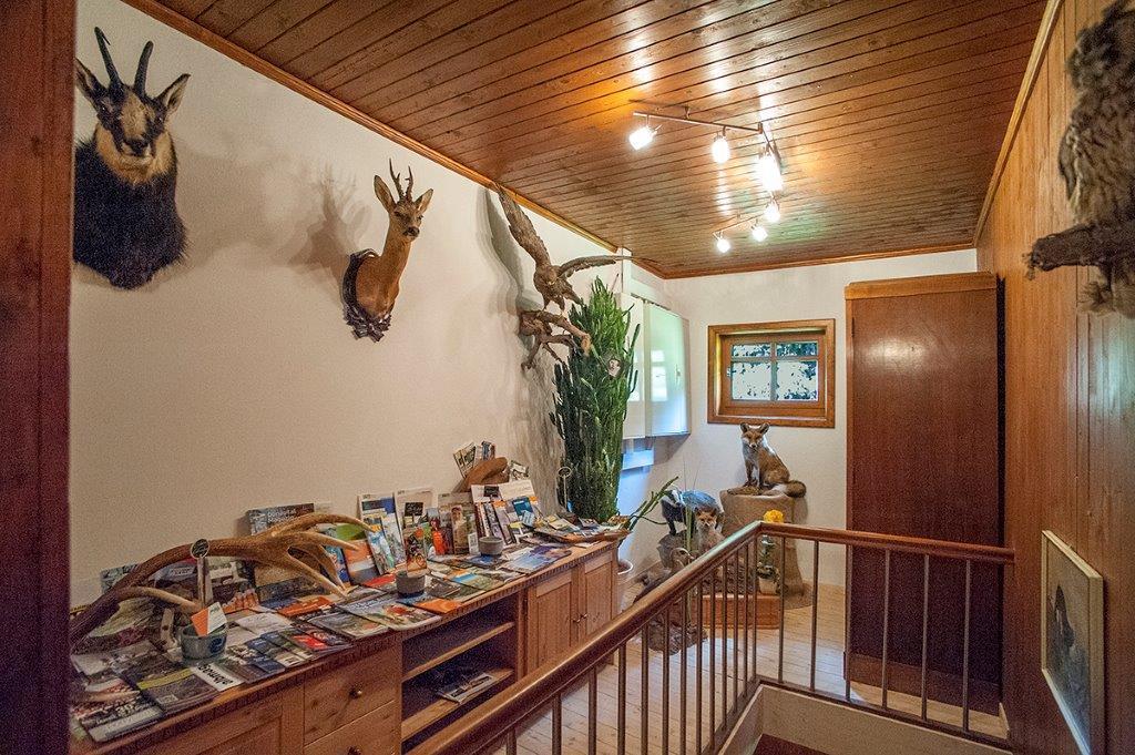 Albler-Nest Auf Hofgut Kuche Daire Burladingen Dış mekan fotoğraf