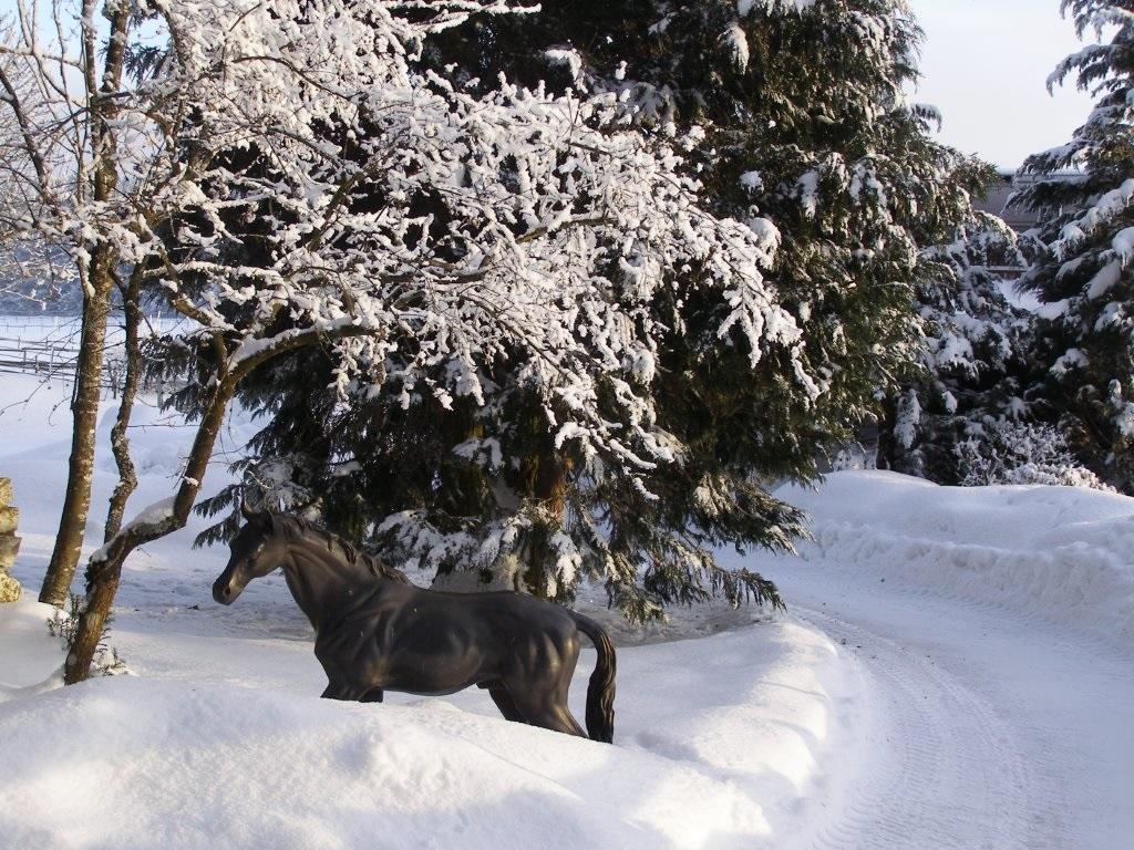 Albler-Nest Auf Hofgut Kuche Daire Burladingen Dış mekan fotoğraf